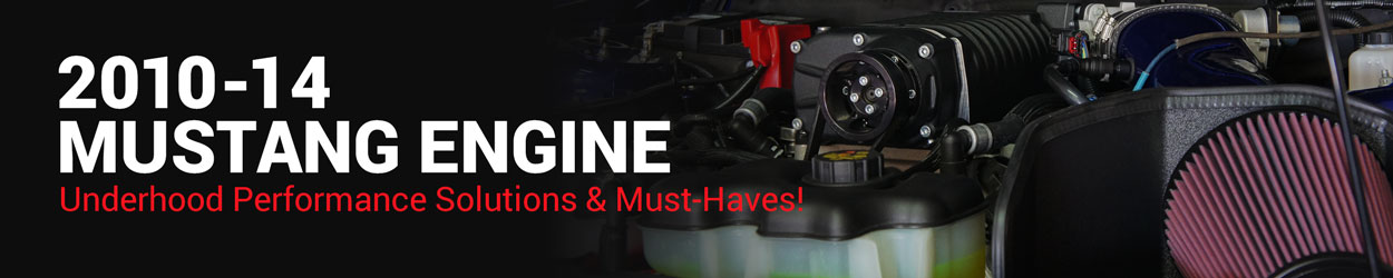2010-2014 Mustang Engine & Underhood