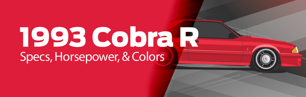What Is The 1993 SVT Cobra R? - What Is The 1993 SVT Cobra R?