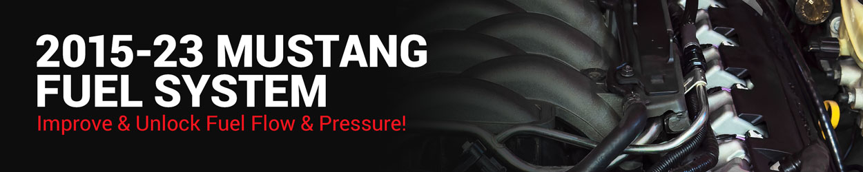 2015-2023 Mustang Fuel System