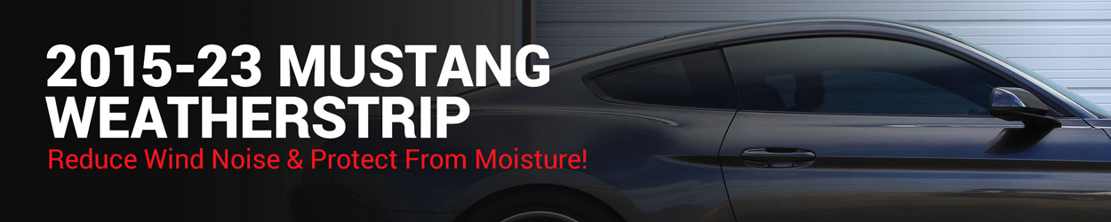 2015-2023 Mustang Weatherstrip