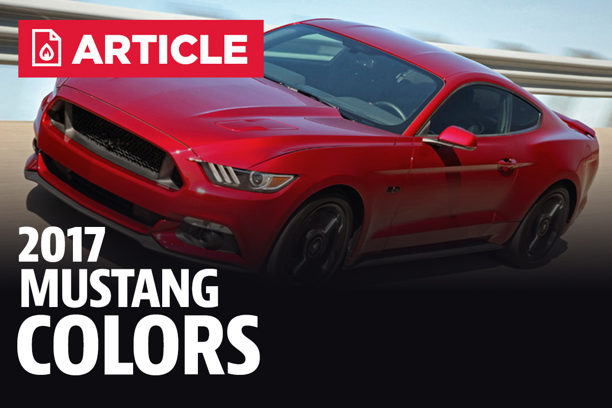 2015-2023 Mustang Paint Colors Codes Steeda, 49% OFF