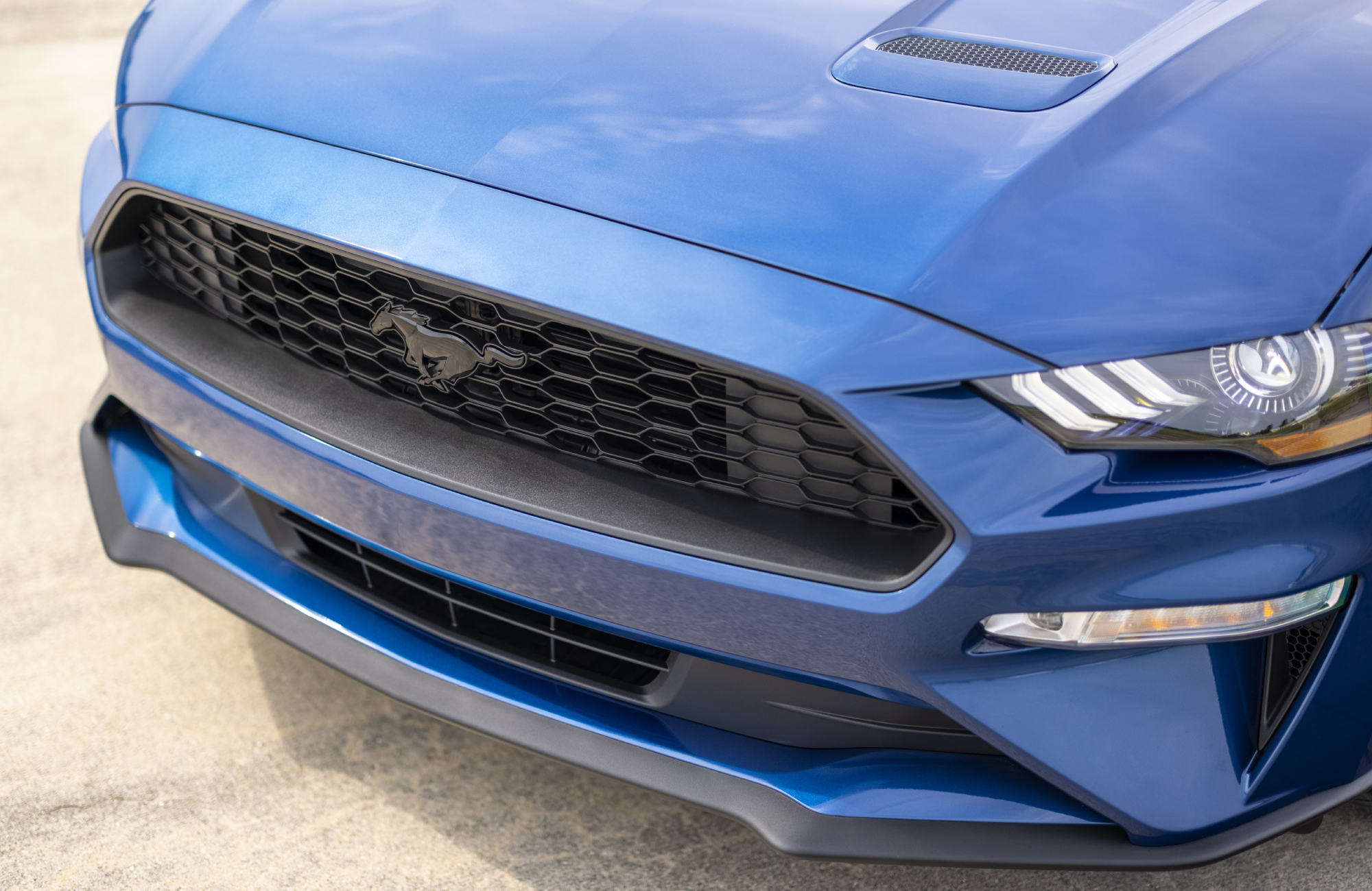 2022 Ford Mustang Stealth Edition - 2022 Ford Mustang Stealth Edition