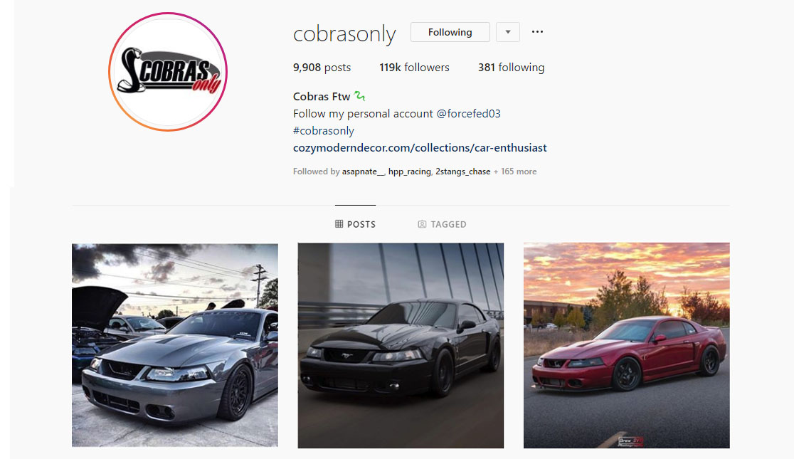 top 7 mustang instagram pages to follow today top 7 mustang instagram pages to follow - best pages to follow on instagram to get followers