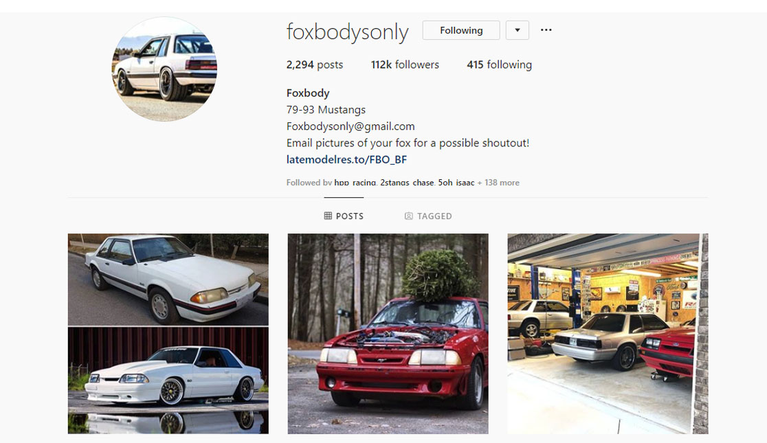 Top 7 Mustang Instagram Pages To Follow Today - Top 7 Mustang Instagram Pages To Follow Today