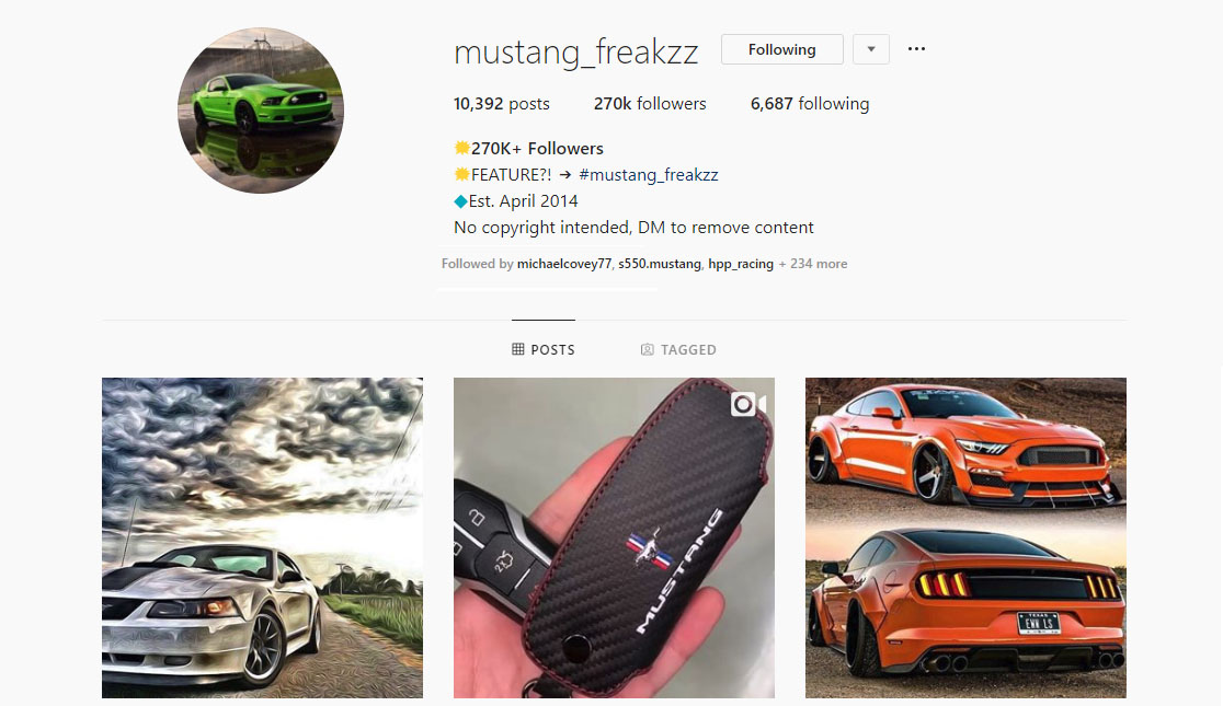 Top 7 Mustang Instagram Pages To Follow Today - Top 7 Mustang Instagram Pages To Follow Today