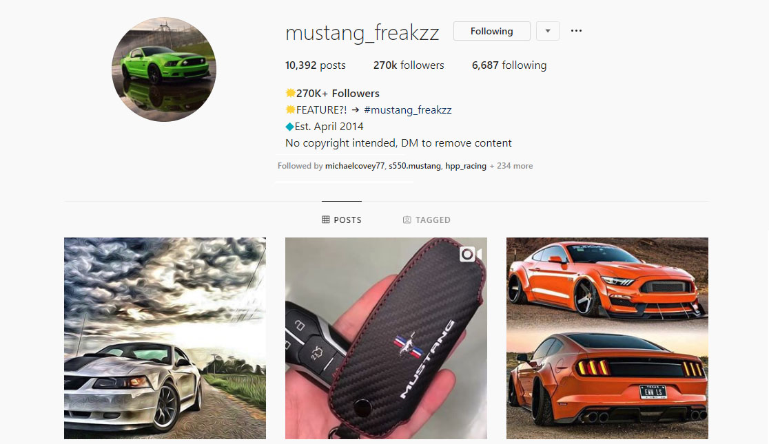 top 7 mustang instagram pages to follow today top 7 mustang instagram pages to follow - top followed pages on instagram