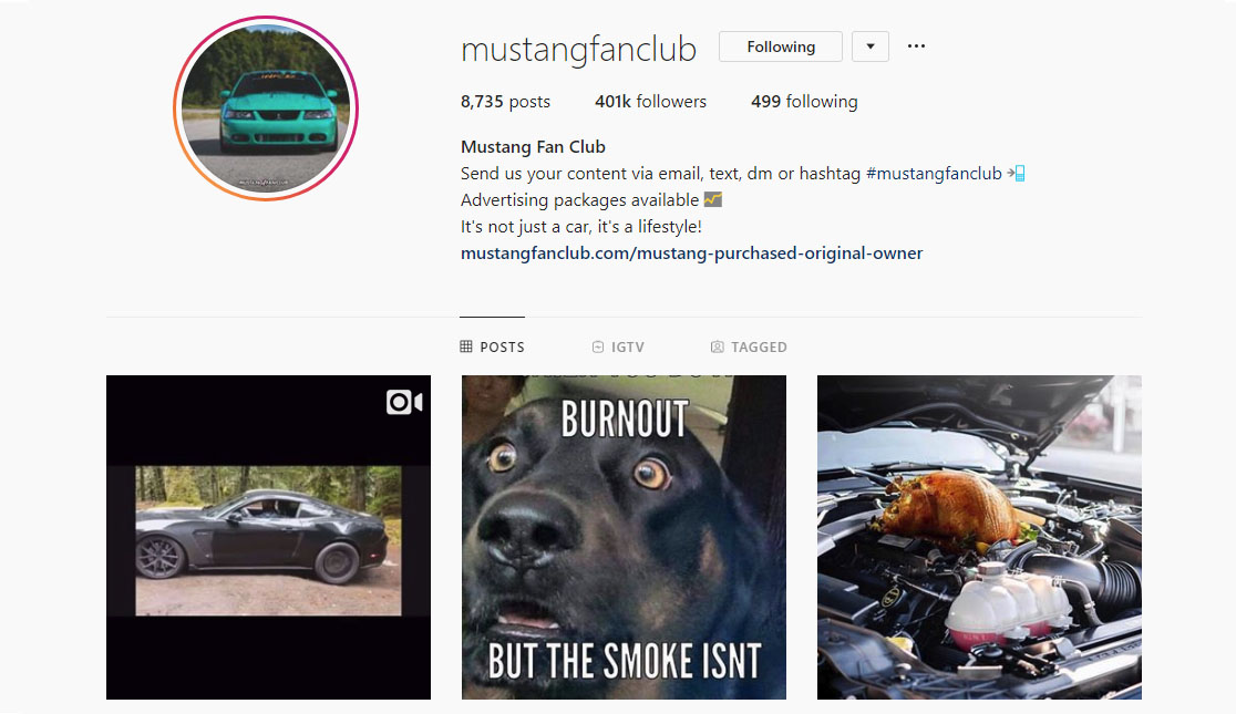 top 7 mustang instagram pages to follow today top 7 mustang instagram pages to follow - best instagram pages to follow to get followers