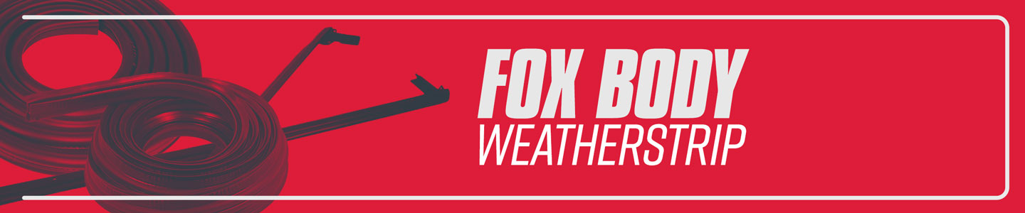 1979-1993 Fox Body Mustang Weatherstrip - 1979-1993 Fox Body Mustang Weatherstrip