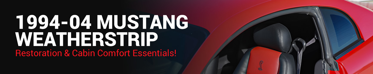 1994-2004 Mustang Weatherstrip 