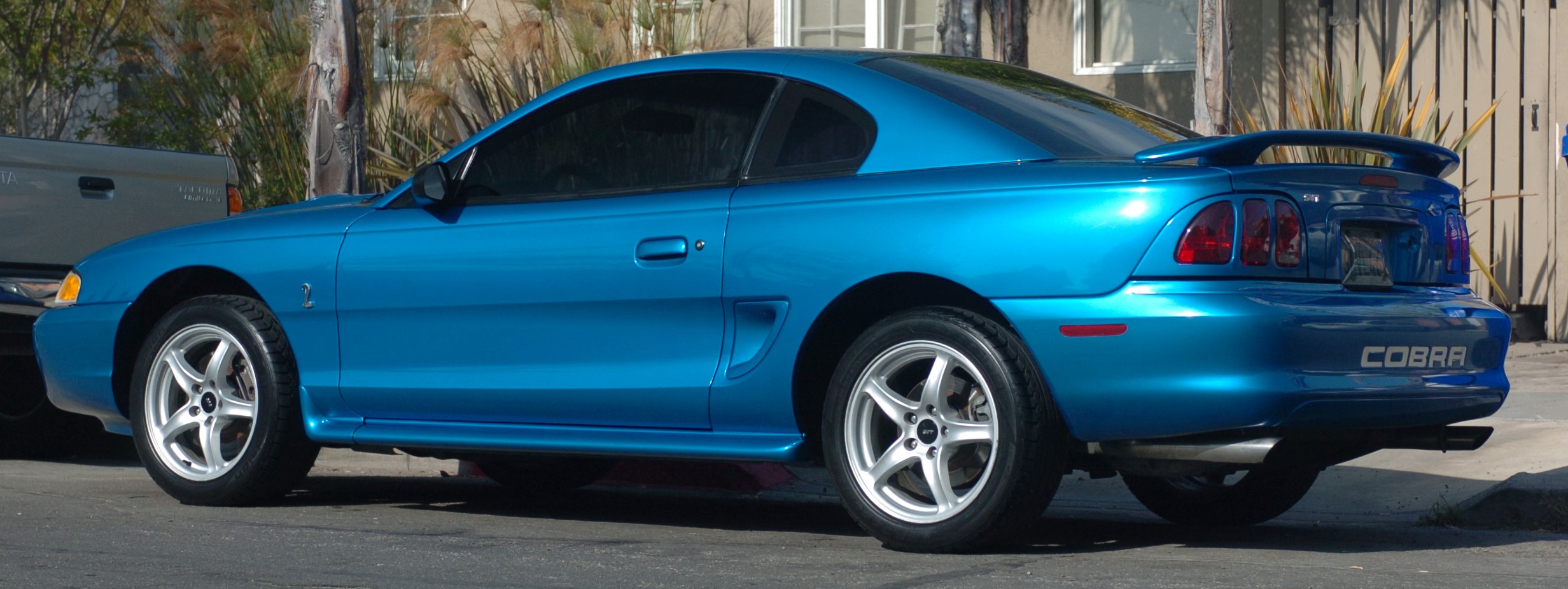 Best SN95 Mustang Colors | 1994-04 - Best SN95 Mustang Colors | 1994-04