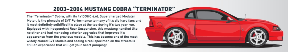 2003-04 Terminator Cobra - 2003-04 Terminator Cobra