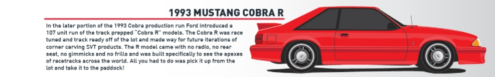 1993 Mustang Cobra R - 1993 Mustang Cobra R