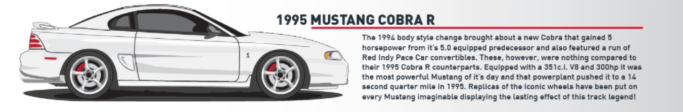 1995 Mustang Cobra R - 1995 Mustang Cobra R