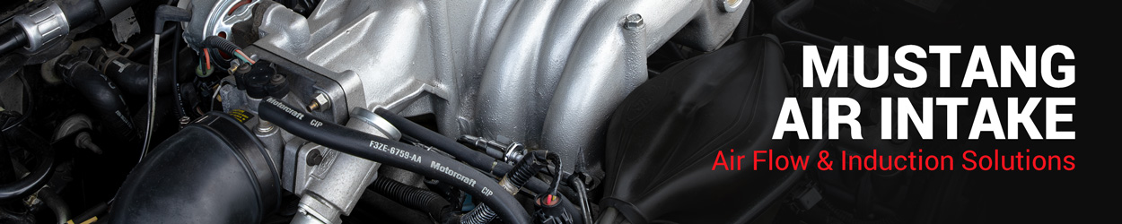 Mustang Air Intake