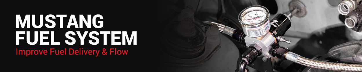 Mustang Fuel System