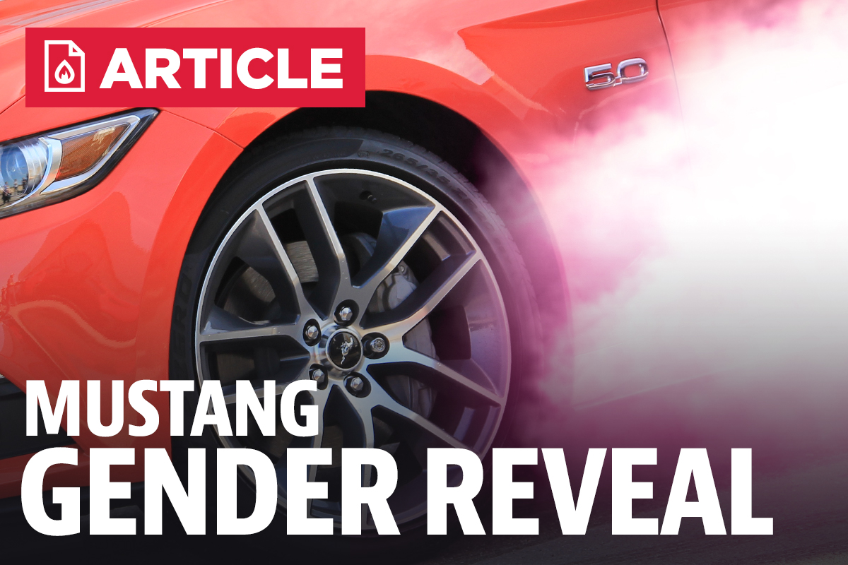 Mustang Gender Reveal Lmr Com