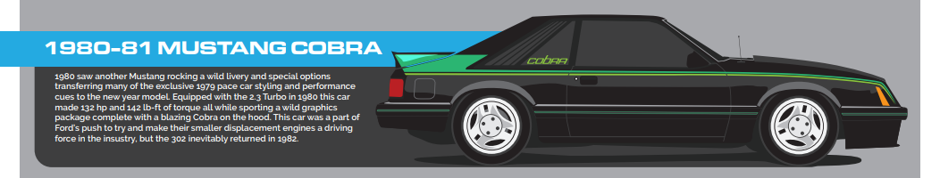 1980-81 Mustang Cobra - 1980-81 Mustang Cobra