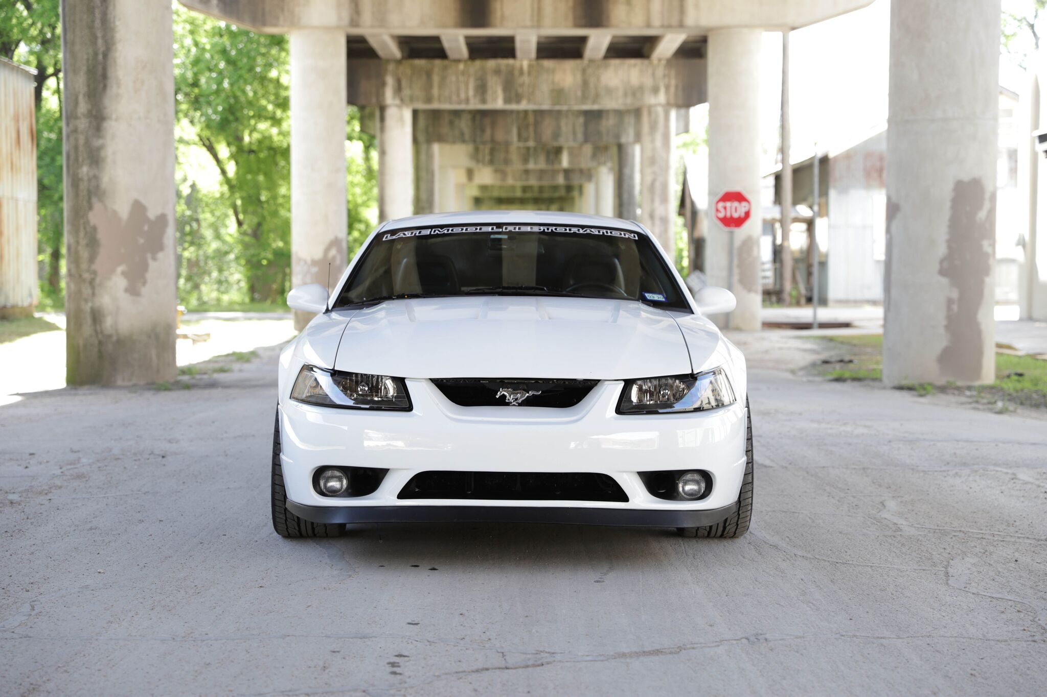 2001 Ford Mustang Cobra Body Kit Amazing Selection | ids-deutschland.de