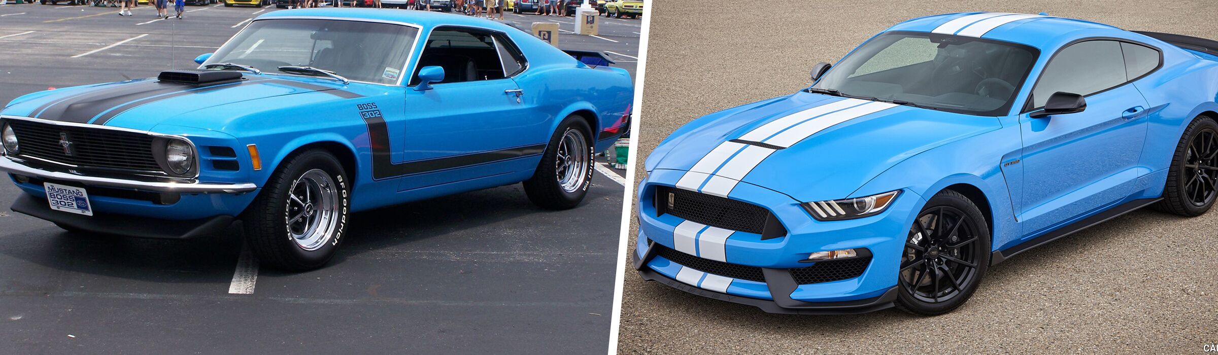 https://ddb6a72d2feaeca8eb46-183c3b2eaab36bc0f4003ed58203ce4f.ssl.cf1.rackcdn.com/what-is-the-grabber-blue-mustang_28e388f2.jpg