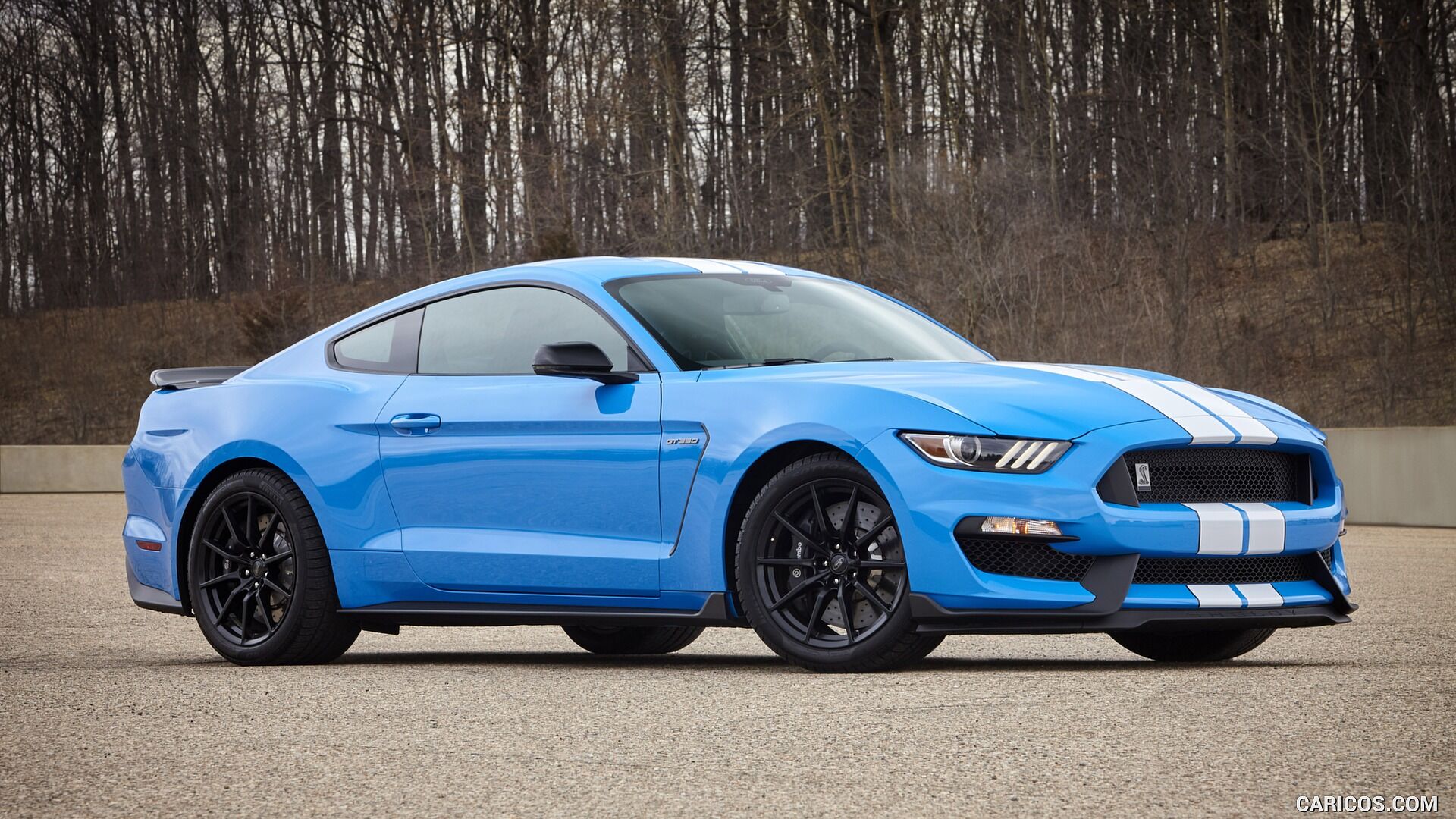 2014 grabber blue mustang