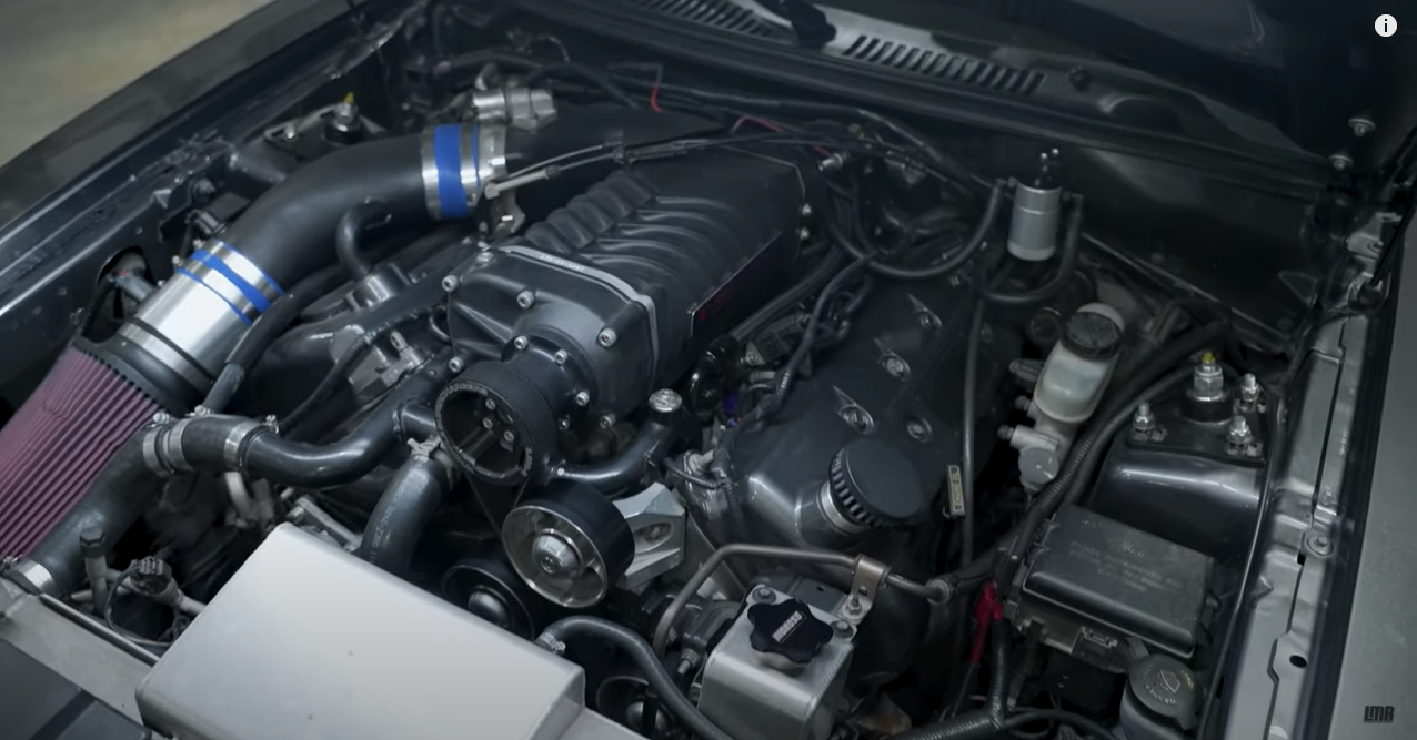 Whippled 2003 DSG Cobra Mustang Makes MASSIVE POWER - Whippled 2003 DSG Cobra Mustang Makes MASSIVE POWER