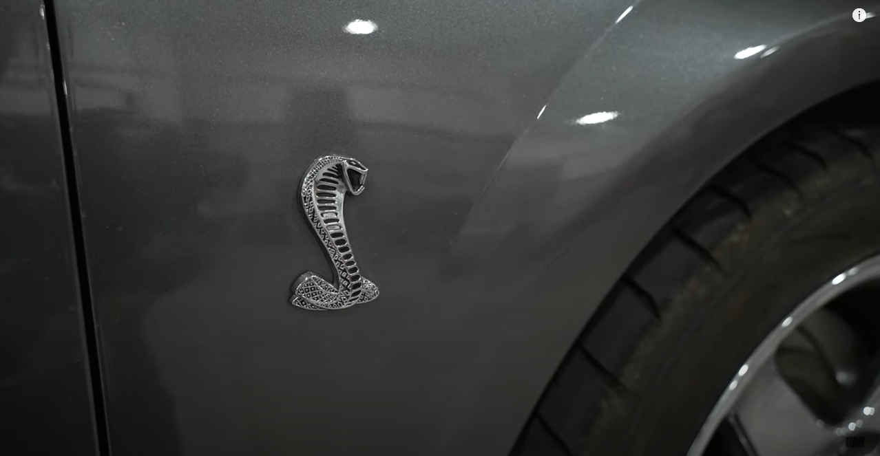 Whippled 2003 DSG Cobra Mustang Makes MASSIVE POWER - Whippled 2003 DSG Cobra Mustang Makes MASSIVE POWER